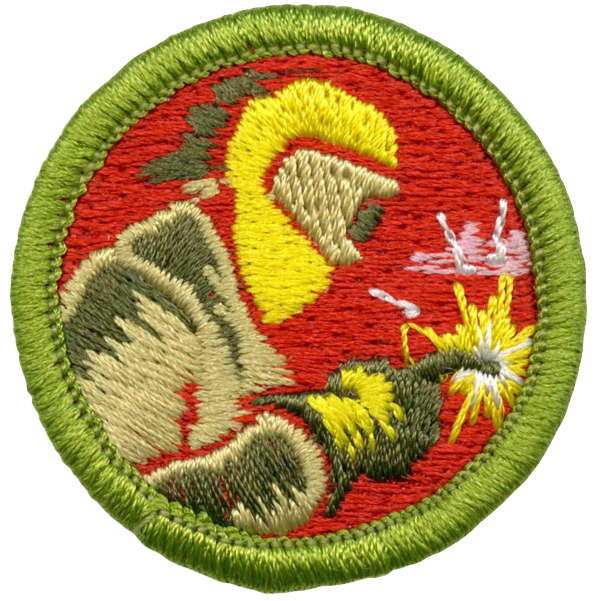 Welding merit badge
